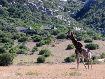 Woodbury Lodge Reserva de Amakhala Exterior foto